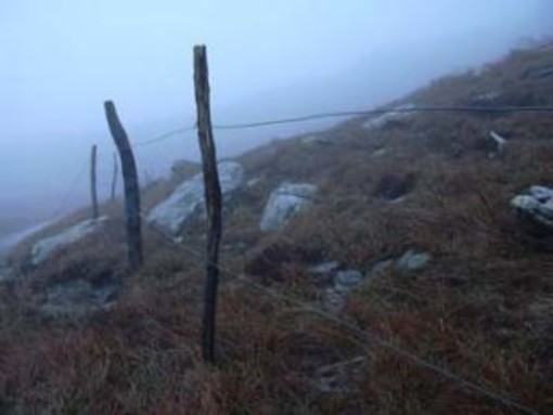 Savona: la Provincia vara un piano d&amp;#039;emergenza neve