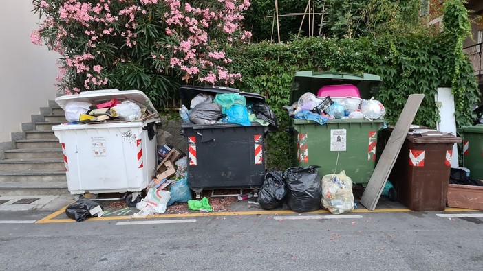 &quot;Siamo sicuri che questo sia il modo giusto di gestire la raccolta differenziata?&quot;