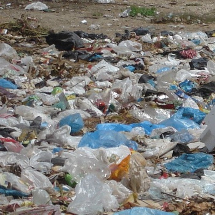 Borse in plastica: tutto come prima? Borse in plastica: tutto come prima?