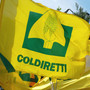 Coldiretti scrive al presidente Toti: “L’agricoltura ligure necessita di risposte concrete e rapide”
