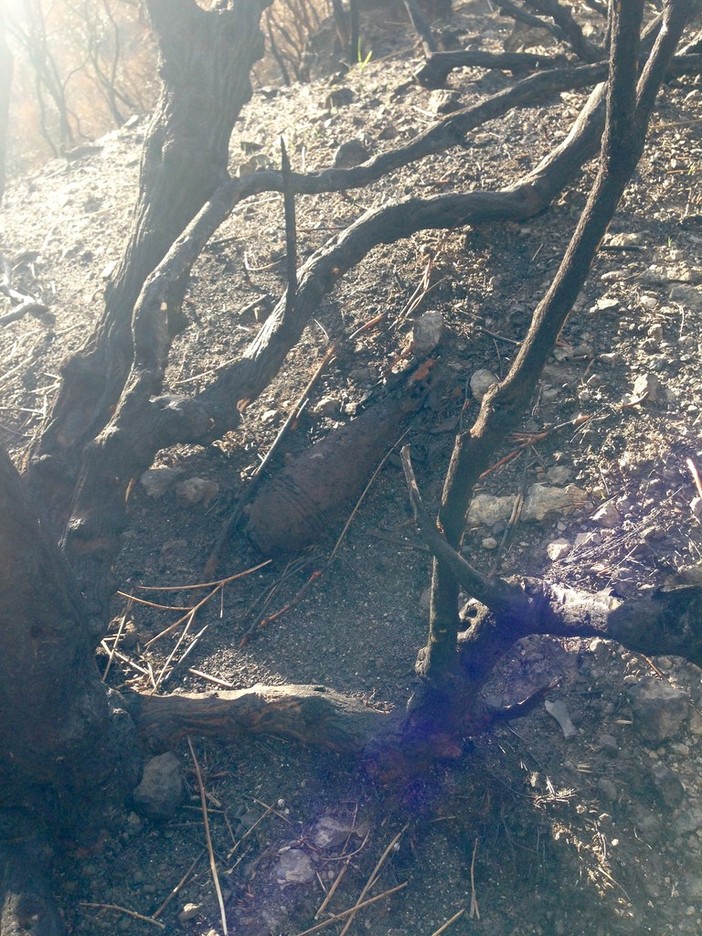 Toirano, brillati in cava detonatori e residuati bellici