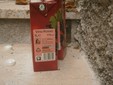 I bricchi di vino sulla Gradinata delle Rose I bricchi di vino sulla Gradinata delle Rose