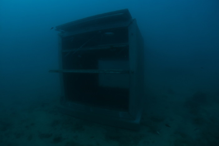 Albenga,   dall'isola Gallinara calati i cubi BORA, barriere per il restauro dell'ambiente costiero