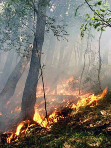 Savona: nuove bocchette idranti per la lotta agli incendi