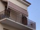 A Borghetto è "invasione" di libellule: le segnalazioni dei nostri lettori (FOTO e VIDEO)