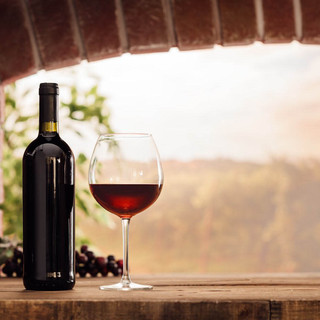 Giugno in cantina per vite in Riviera, luoghi del vino aperti per tutto il mese