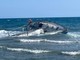 Varazze, barca a vela incagliata in una secca nei pressi del molo: vani i tentativi di rimozione