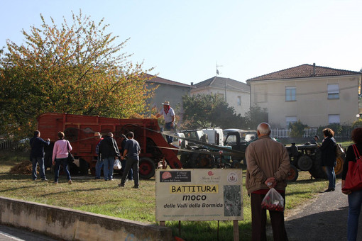 Rocchetta di Cengio, domenica 27 settembre la Festa del Moco Rocchetta di Cengio, domenica 27 settembre la Festa del Moco