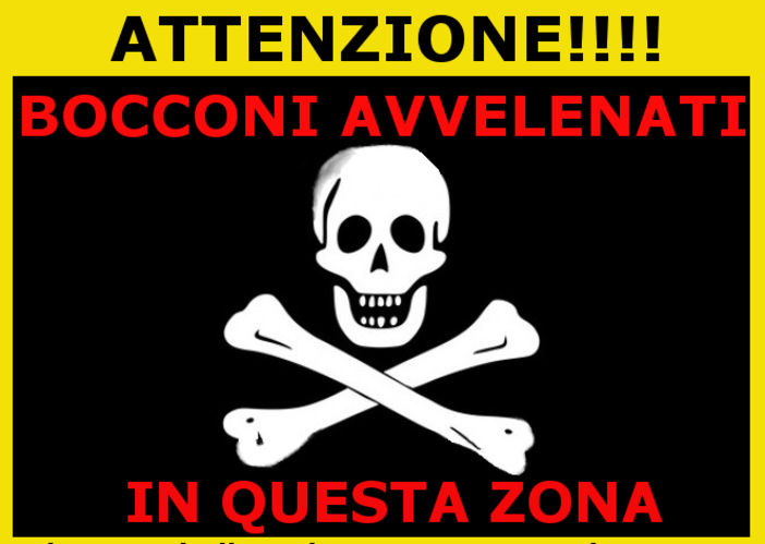 Savona, la denuncia dell'Enpa: "Bocconi avvelenati alla Villetta, morti cinque gatti" Savona, la denuncia dell'Enpa: "Bocconi avvelenati alla Villetta, morti cinque gatti"