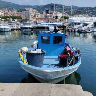 Pesca e caro gasolio, il vicepresidente regionale Piana: "In questo momento priorità ai ristori" Pesca e caro gasolio, il vicepresidente regionale Piana: "In questo momento priorità ai ristori"