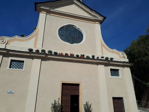 Bastia d'Albenga: "ladri" rubano decine di piante, ma si tratta di un'antica tradizione Bastia d'Albenga: "ladri" rubano decine di piante, ma si tratta di un'antica tradizione