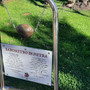Il “Barometro di Pietra” è di nuovo al suo posto Il “Barometro di Pietra” è di nuovo al suo posto