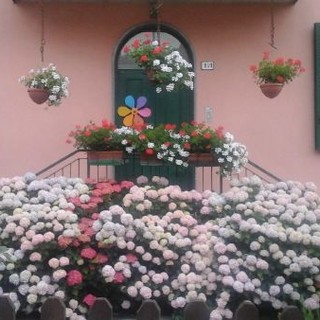 Immagine di repertorio