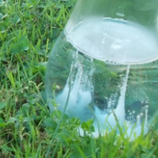Tutti pronti questa sera a fare la Barca di san Pietro per avere le "previsioni" dell'anno Tutti pronti questa sera a fare la Barca di san Pietro per avere le "previsioni" dell'anno
