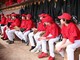 Baseball, Little League: parte bene la Cairese