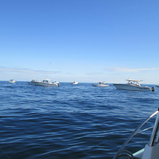 Demanio marittimo, Coldiretti: "Aumento ingiustificato del canone per pescatori"