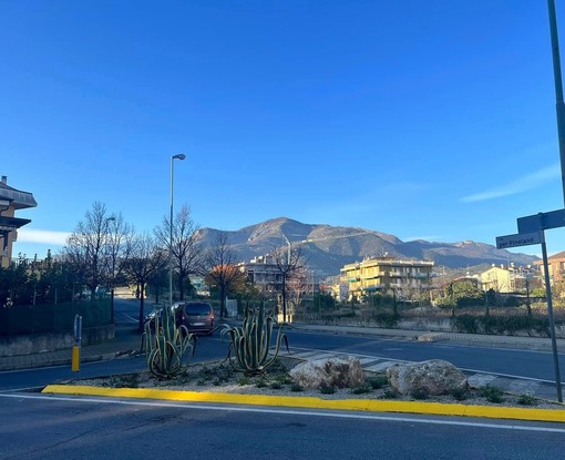 Borghetto S. Spirito, sotto la lente il patrimonio arboreo cittadino: controlli per accertarne lo stato di salute