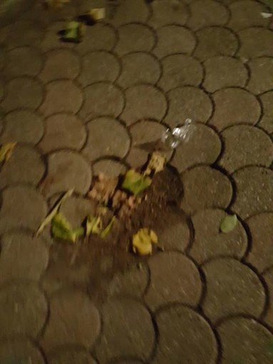 Savona, buca pericolosa nei giardini di Lavagnola (FOTO)