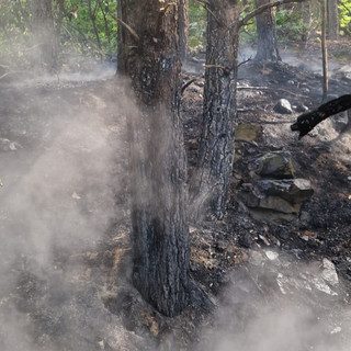 Incendio boschivo a Sassello: nuovo intervento dei vigili del fuoco in località Giardini