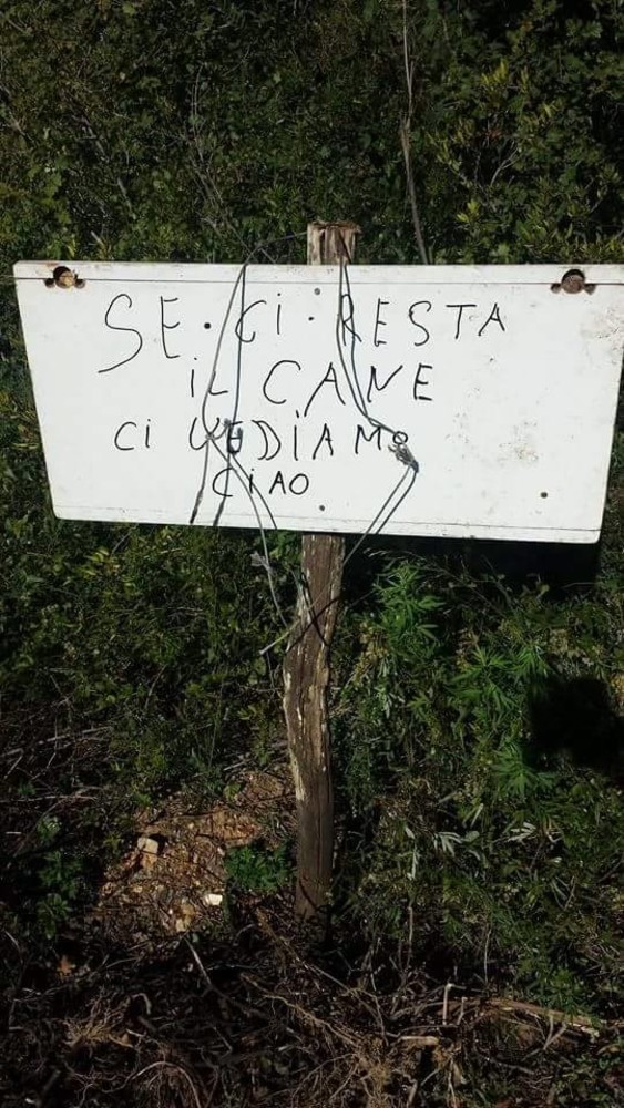 Allarme bracconieri ad Albenga, lacci posizionati in zona Campochiesa Allarme bracconieri ad Albenga, lacci posizionati in zona Campochiesa