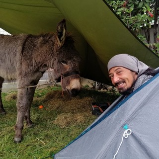 A spasso per l’Europa, passando per Albenga: Bruno e il suo fedele asinello Alekum in sosta nella città delle torri