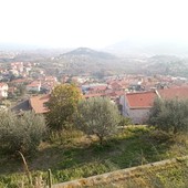 Boissano, il Comitato Beallu Buinzan denuncia: "Degrado, disagio e pericolo per i Boissanesi”