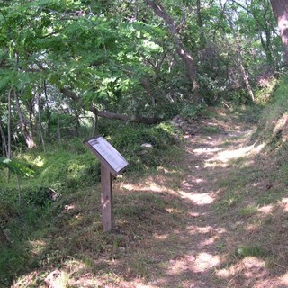 Bergeggi: domenica la castagnata, per riscoprire anche il sentiero botanico