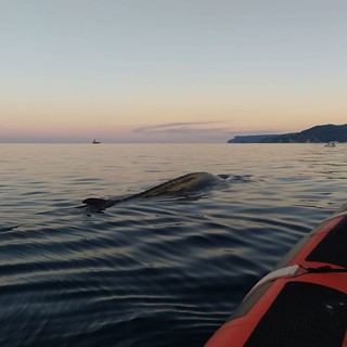 Foto pagina Facebook associazione "Menkab: il respiro del mare"