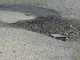 Albenga, buche e scarsa manutenzione delle strade nelle frazioni: la segnalazione di un lettore Albenga, buche e scarsa manutenzione delle strade nelle frazioni: la segnalazione di un lettore