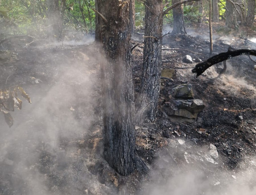 Incendio boschivo a Sassello: nuovo intervento dei vigili del fuoco in località Giardini