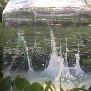 In foto la barca di san Pietro: un albume d’uovo in una caraffa d’acqua per capire come sarà il tempo