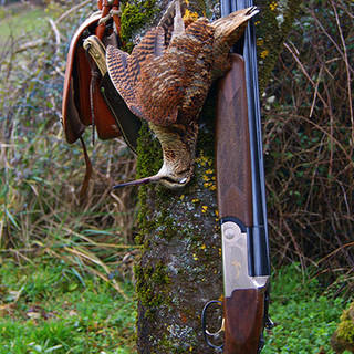 Domani, 17 settembre, via alla stagione venatoria in Liguria. Le associazioni animaliste: "Malagestione della Regione"