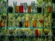 Bicchieri riutilizzabili in plastica per eventi: un'alternativa ecologica per un futuro sostenibile