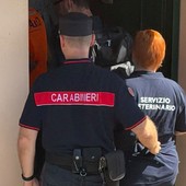 Foto dalla pagina Facebook di Enrico Rizzi Foto dalla pagina Facebook di Enrico Rizzi