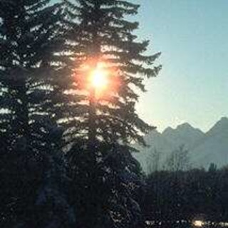 Bardineto: anziana si perde nei boschi a caccia di funghi