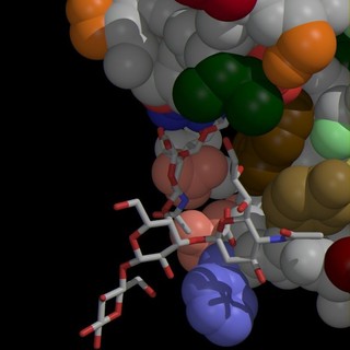 Savona, mercoledì 5 giugno conferenza su "Biotecnologie &amp; Farmaci"