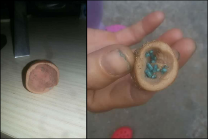 Bocconi avvelenati a Cairo Montenotte. Altri casi segnalati nei giorni scorsi in tutta la Provincia