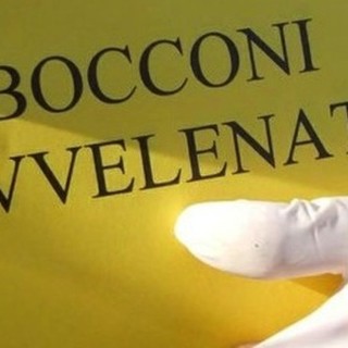 Allarme bocconi avvelenati a Borghetto Stanto Spirito