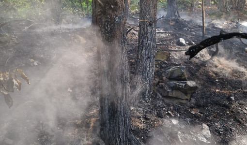Incendio boschivo a Sassello: nuovo intervento dei vigili del fuoco in località Giardini Incendio boschivo a Sassello: nuovo intervento dei vigili del fuoco in località Giardini
