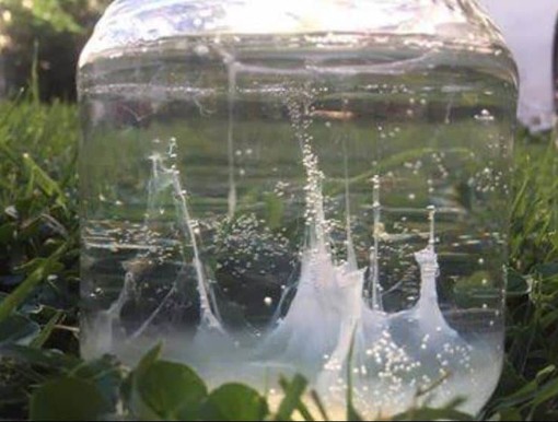 In foto la barca di san Pietro: un albume d’uovo in una caraffa d’acqua per capire come sarà il tempo