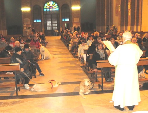 Sabato torna la giornata degli animali!