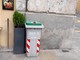 Savona, qualità servizio di igiene urbana contestato da FdI. Pasquali: ”Rifiuto secco ridotto del 10% e umido aumentato del 20%&quot;