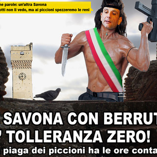 Colombi in centro a Savona, Enpa: "La soluzione c'è, un'amministrazione sorda fa subire le conseguenze ai cittadini"