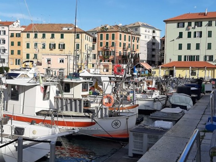 Savona, intrusioni sulle barche alla Vecchia Darsena, i diportisti presentano un esposto e chiedono più sorveglianza