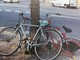 Albenga, polizia locale rimuove biciclette abbandonate (FOTO)