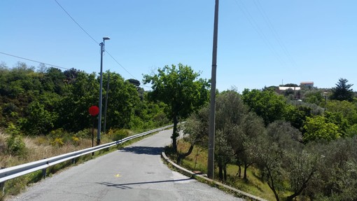 Savona, polpette avvelenate al Bosco delle Ninfe: l'allarme dei residenti