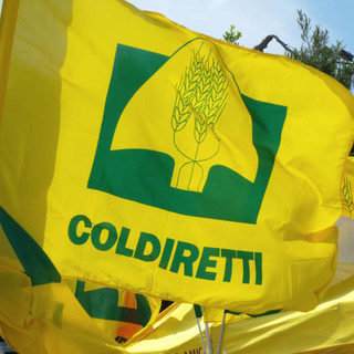 Coldiretti scrive al presidente Toti: “L’agricoltura ligure necessita di risposte concrete e rapide”