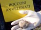 Bocconcini avvelenati a Leca d'Albenga