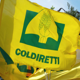 Ceriale, Coldiretti lancia l'azione sindacale verso il Comune: "Tari su fabbricati strumentali non a norma di legge"