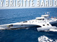 Foto tratta da www.seashepherd.it